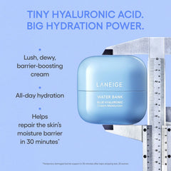LANEIGE Water Bank Blue Hyaluronic Cream Moisturizer (Refill) 50ml