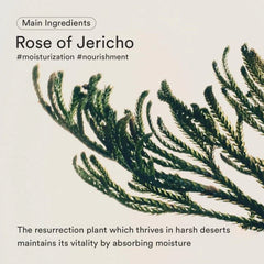 Abib Jericho rose crème Nutrition tube 75ml