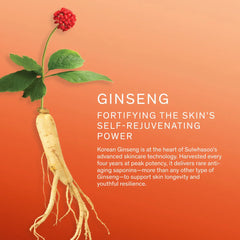 Sulwhasoo Concentrated Ginseng Rejuvenating Emulsion 125ml