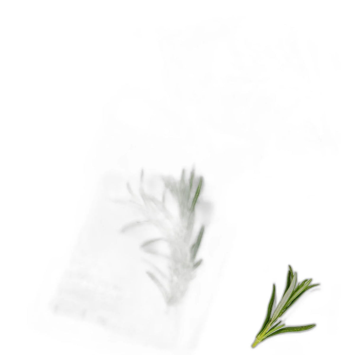 mixsoon Daily Mask Pack Tuesday 20ml X 10ea