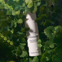 mixsoon Centella Asiatica Stick Balm 11.5ml