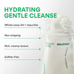 innisfree Green Tea Amino Hydrating Cleansing Foam 250g