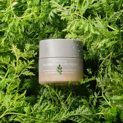MISSHA New Artemisia Calming Moisture Cream 50ml